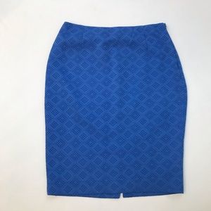 The Limited Pencil Texture Lined Knee Career Skirt